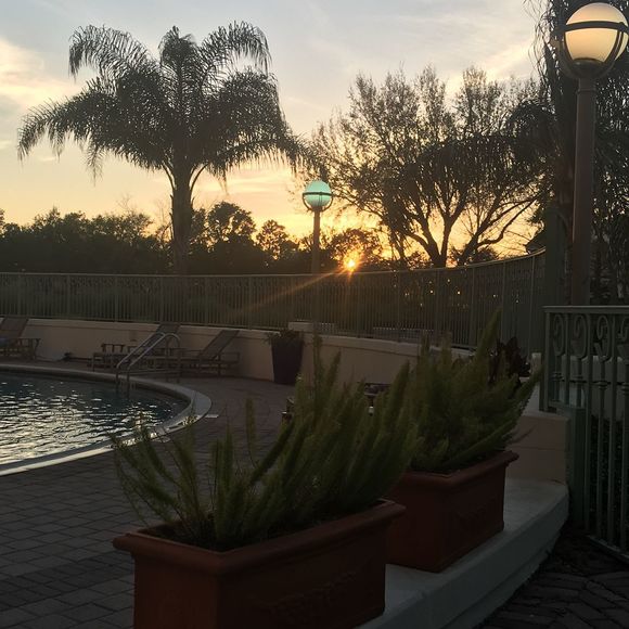 Meet your Posher, Lynn - Picture 1 of 1